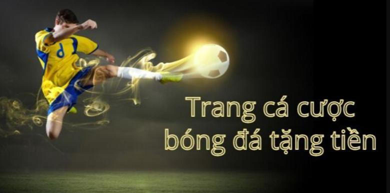 Cá cược an toàn tại 8xbet-vietnam.vip