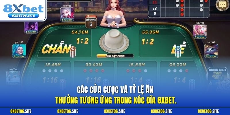 Cac lua chon cuoc trong blackjack 8XBET